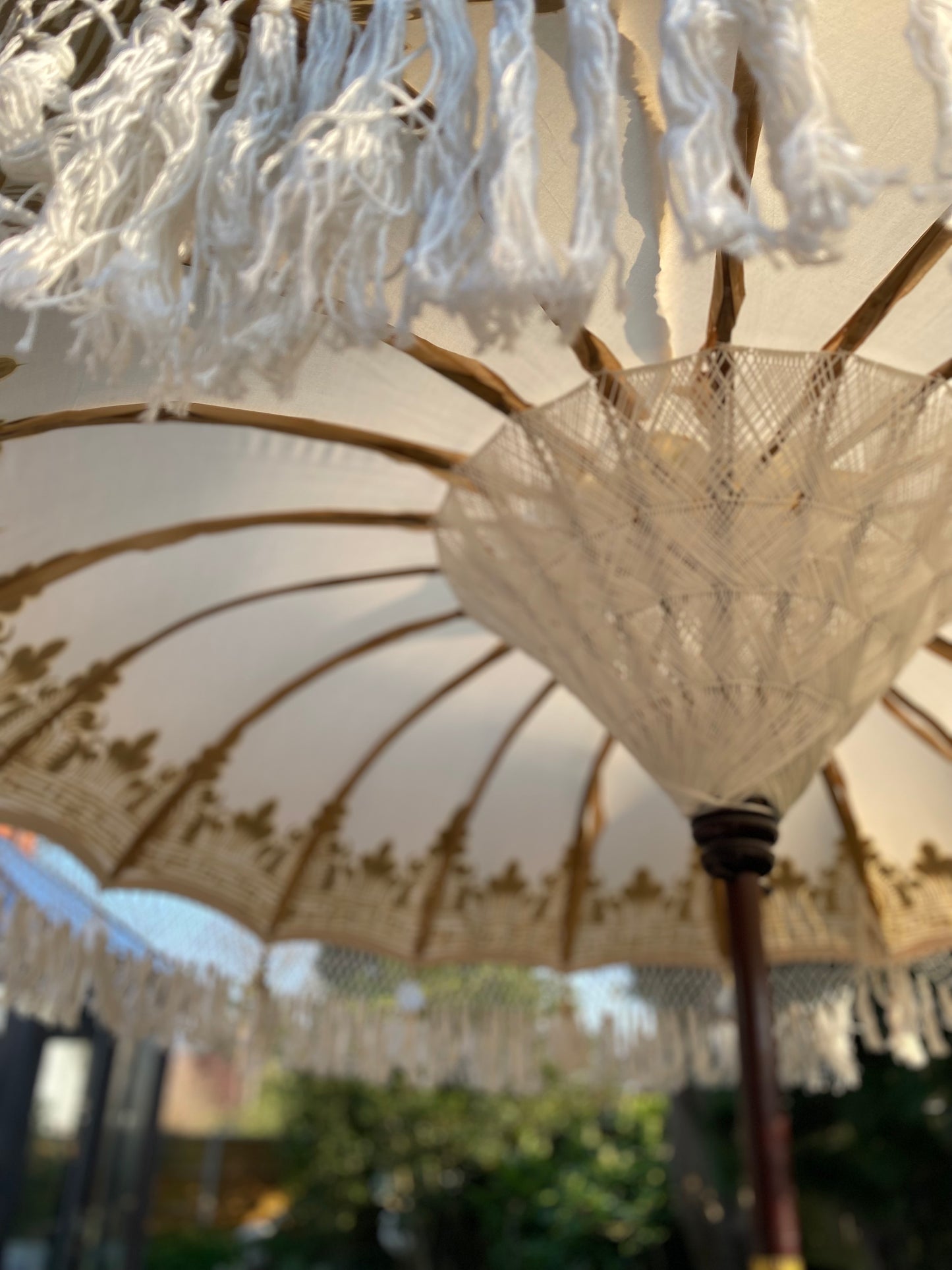 Ivory and gold fringed parasol